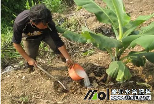 水肥均匀冲施技巧