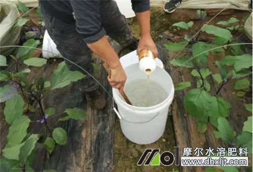冲施肥溶解水温要求